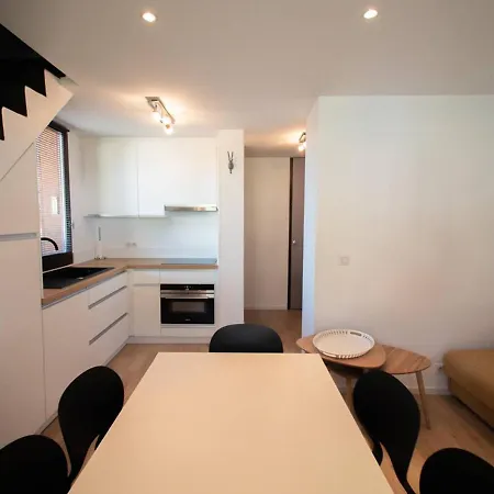 Apartment Duplex 3 Pieces Avec Balcon Et Casier A Skis A - Fr-1-291-878